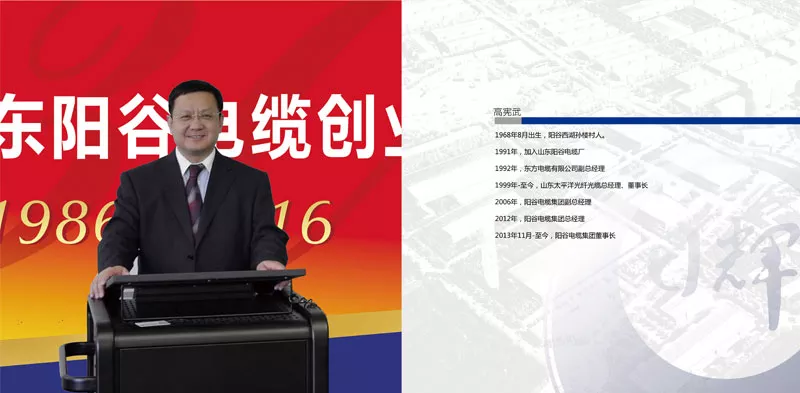 高宪武