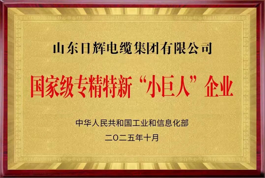 国家级专精特新小巨人.jpg